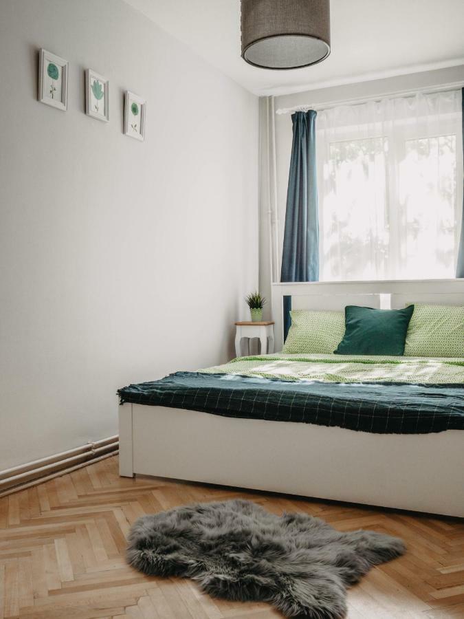 Business And Travel Central Apartment Timisoara Esterno foto