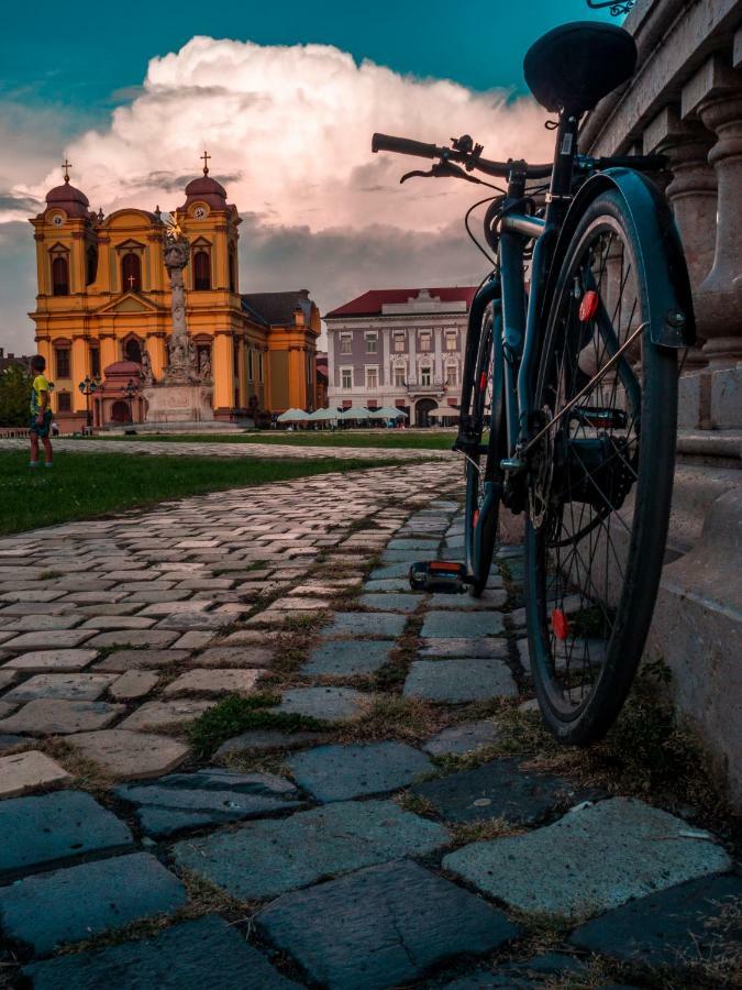 Business And Travel Central Apartment Timisoara Esterno foto