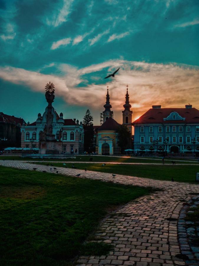 Business And Travel Central Apartment Timisoara Esterno foto