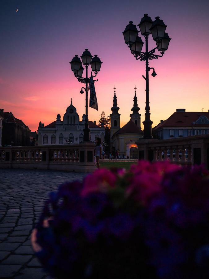 Business And Travel Central Apartment Timisoara Esterno foto