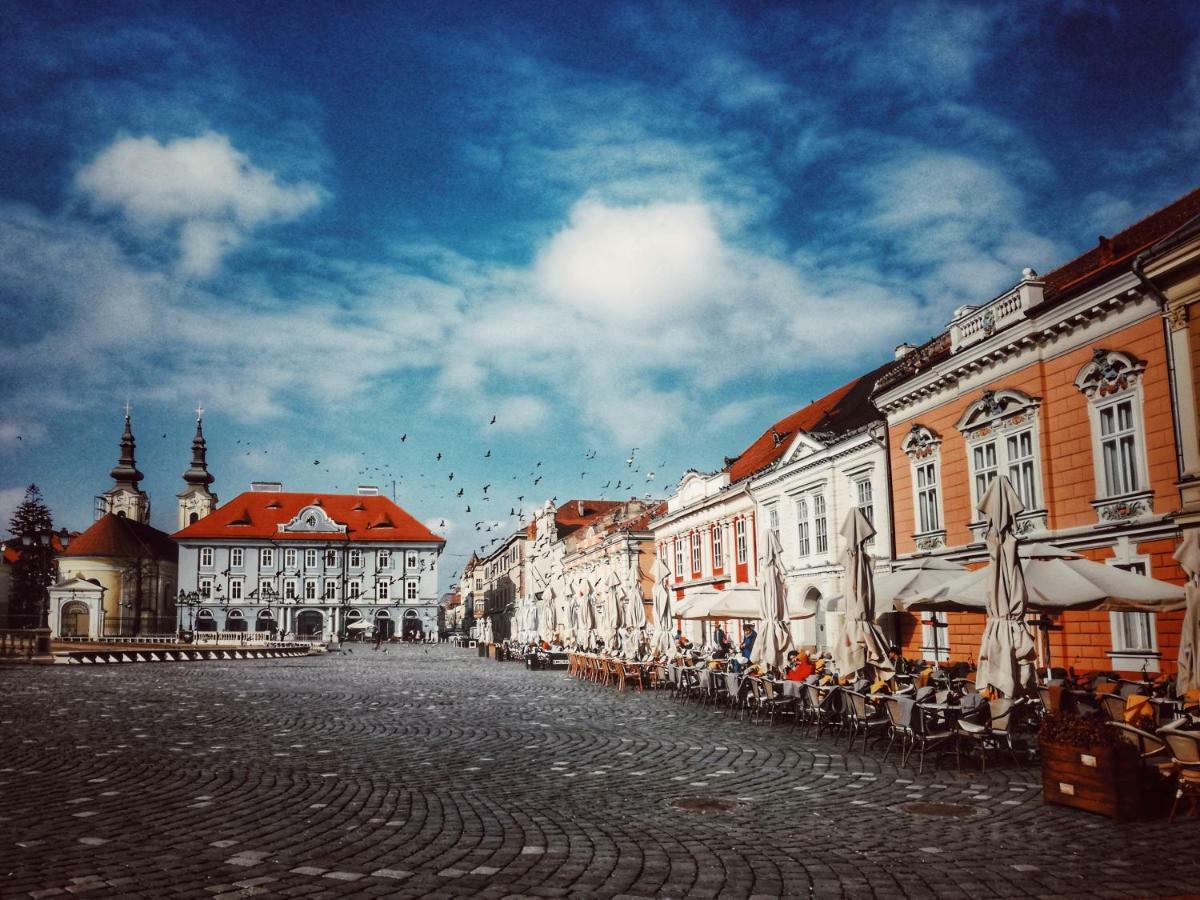 Business And Travel Central Apartment Timisoara Esterno foto